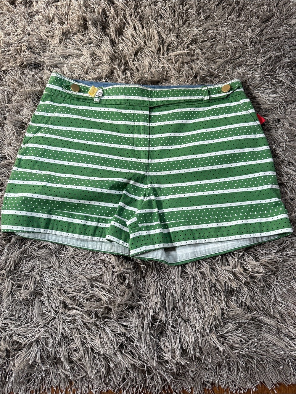 Anthropologie Shorts --
The Madison Short --  Green  --